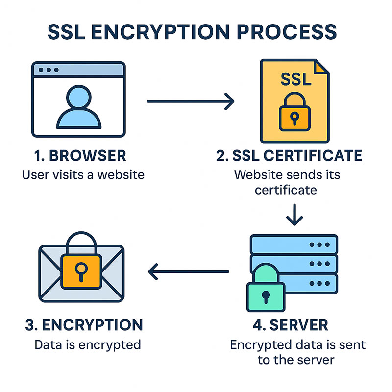 SSL คืออะไร ? ทำไมเว็บไซต์ต้องมี เพื่อความปลอดภัยของผู้ใช้